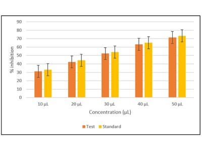 Gelatin-Alginate Biopolymeric Matrix Enriched with Punica granatum and Moringa oleifera: In vitro Biological Evaluation for the Management of Periodontal Disease