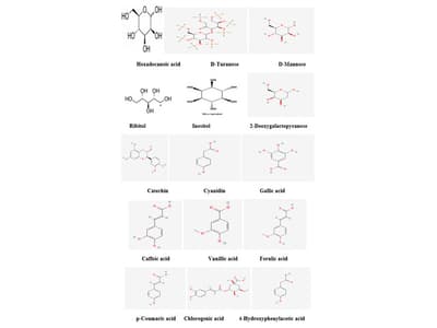 Phytochemical and Pharmacological Potential of Pithecellobium dulce: A Review