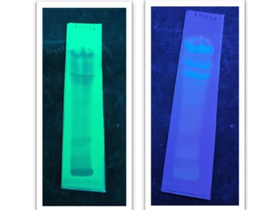 Characterization and Chromatographic Evaluation of Shatapushpadi Lepa