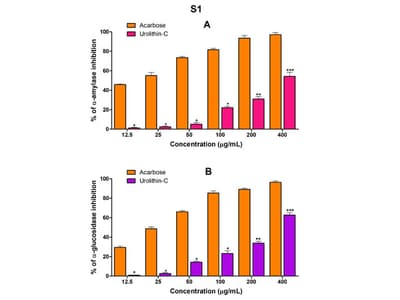 Chemically Synthesized Urolithin-C Regulates Glucose Uptake in HepG2 Cells