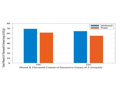 Phytochemical Profiling and Antioxidant Assessment of Methanolic Leaf Extract of Ziziphus oenoplia from Badangi Village, Odisha