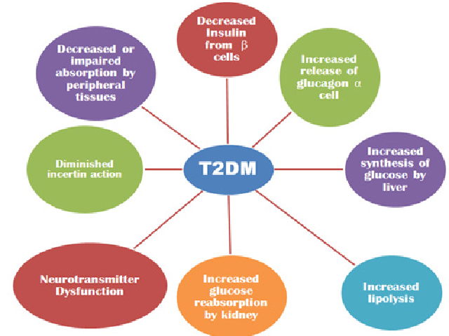 Causes of T2DM: Disease leading to T2DM.