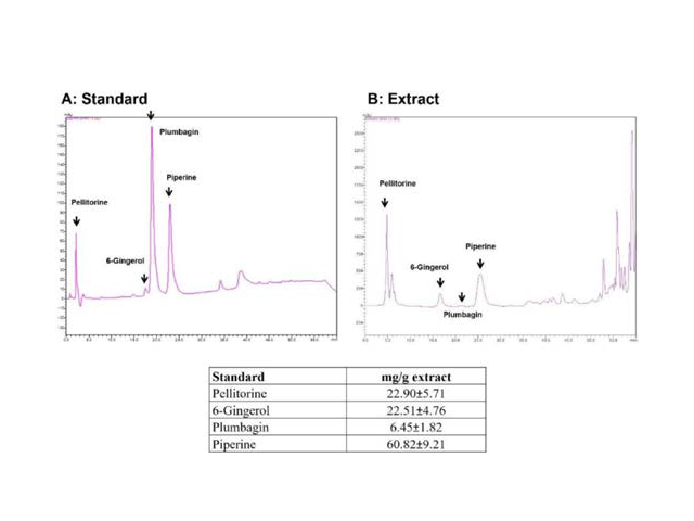 High-performance liquid chromatography chromatogram of active compounds in Benjakul extracts, (A) Standard (B) Benjakul extract.