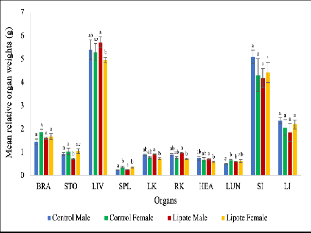 Mean relative organ weights (g) of male and female ICR mice given with distilled water and 2000 mg/kg BW dose of reconstituted freeze-dried lipote (Syzygium polycephaloides (C. B. Rob.) Merr.) fruits