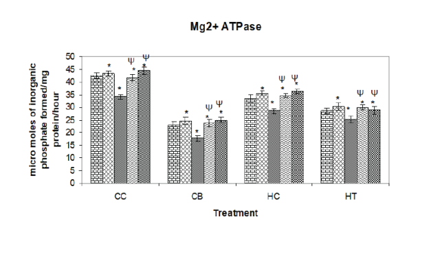 Impact of ginger on Na+/K+ ATPase, Mg2+ATPase, Ca2+ATPase activities and MDA levels in the brain regions of normal and diabetic rats. Data are expressed as means±SD (n=6). *The values are significant compared to *Normal Control (NC) and (ψ) Diabetic Control (DC). (Dunnett’s multiple comparison tests).
