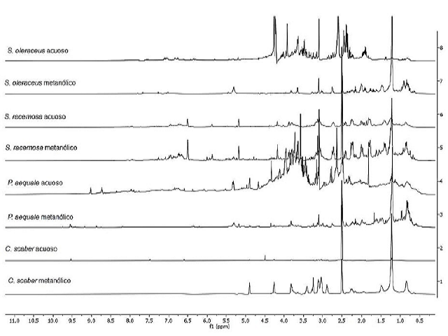 1H-NMR spectrum of methanolic and aqueous extracts of the selected species (500 MHz, DMSO d6).