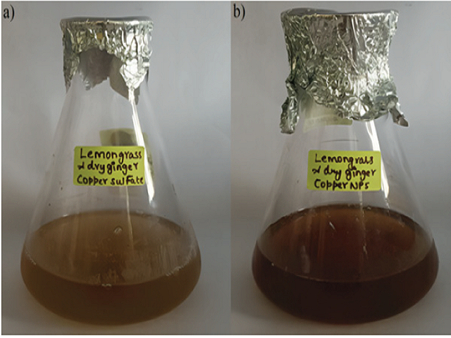 Visual observation of CuONPs synthesized using Lemongrass and Dry ginger (a) Initial colour change (b) Final colour change.