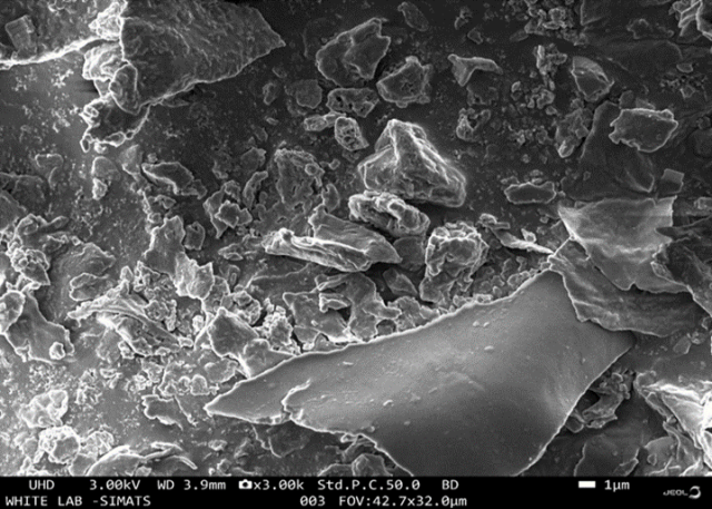 SEM analysis of TQ-ZnNPs revealed crystal-like structure morphology.