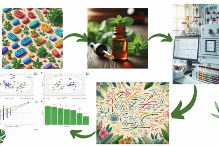 Key steps of HPLC based metabolomic fingerprint profiling for quality assessment of herbal medicines. 