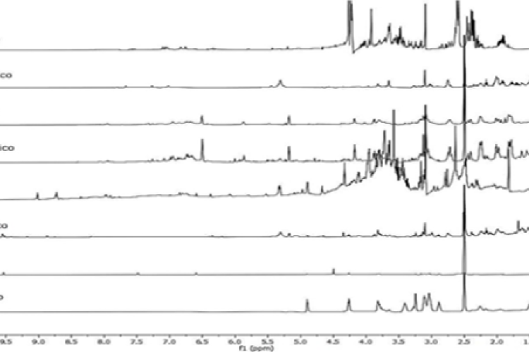  1H-NMR spectrum of methanolic and aqueous extracts of the selected species (500 MHz, DMSO d6