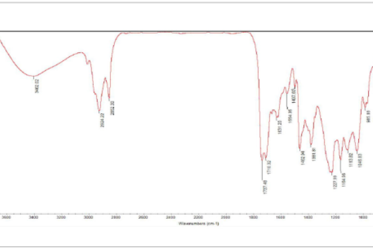 FTIR spectra of EAE of Synedrella nodiflora