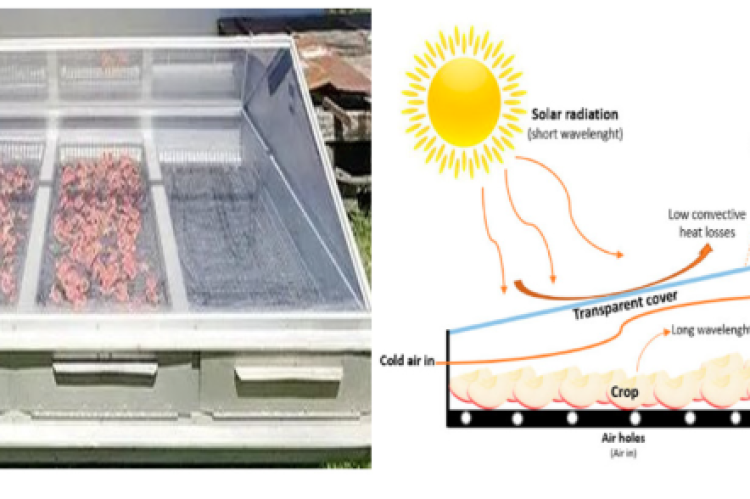 Representation of the solar drier and its drying process