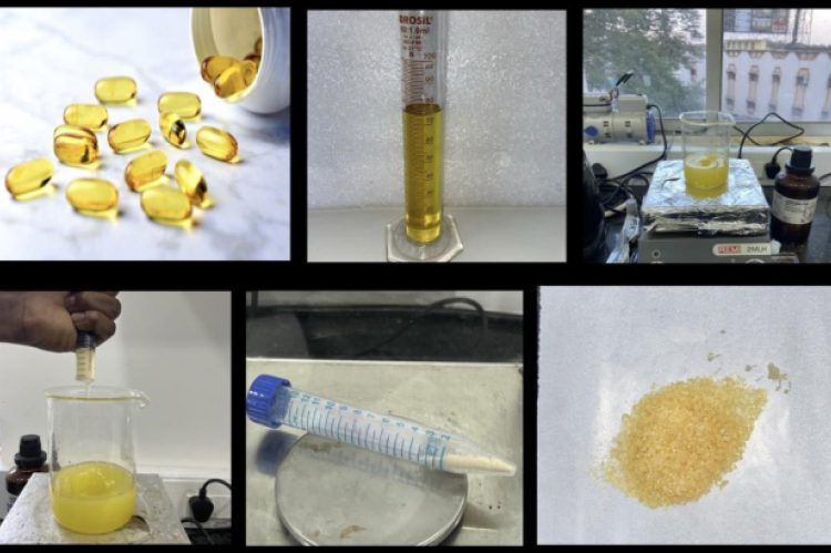 Preparation of omega 3 fatty acid microspheres.