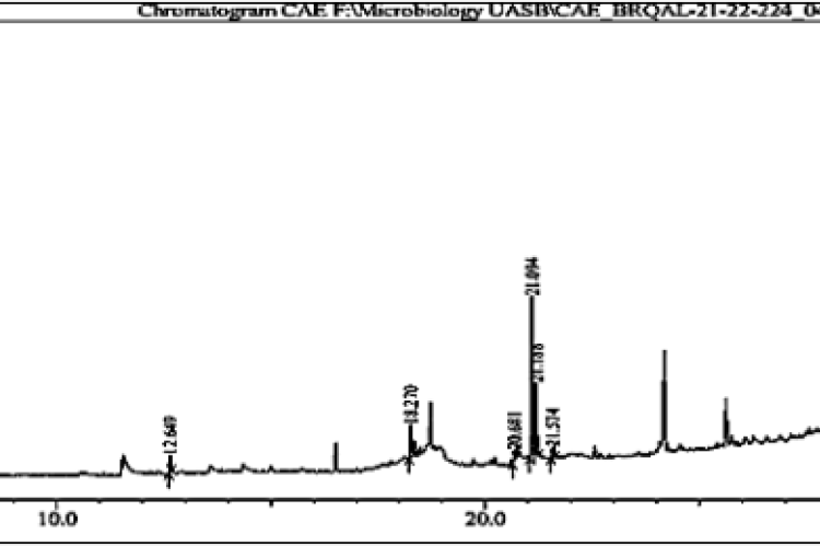 GC-MS chromatogram of ethanolic extract of Curcuma amada rhizome.