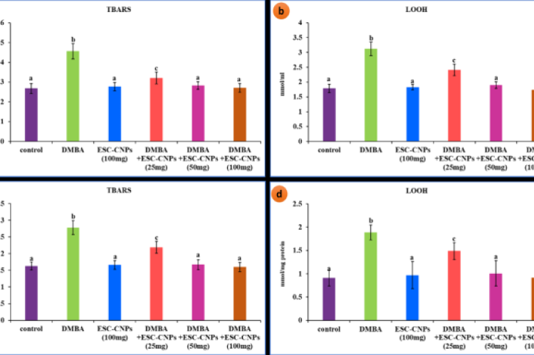 Evaluate the Lipid peroxidation levels in ESC-CNPs treated and untreated groups in plasma (a and b) and tumor tissue (c and d): Data are expressed as the mean±SD for six rats in each group. Values not sharing a common superscript letter in the same row differ significantly at p≤0.05 (DMRT). TBARS=Thiobarbituric acid reactive substances, LOOH=Lipid hydroperoxides.