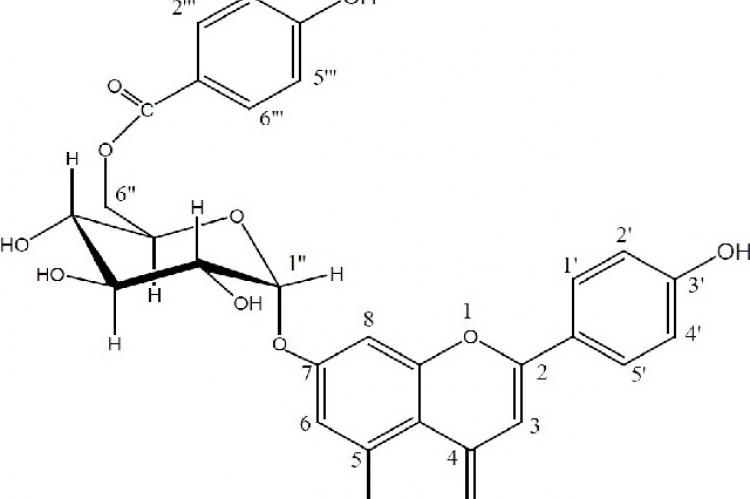 Structure of compound (1) Apigenin 7-O-(6``-p-hydroxybenzoyl)-β-D-glucopyranoside (1)