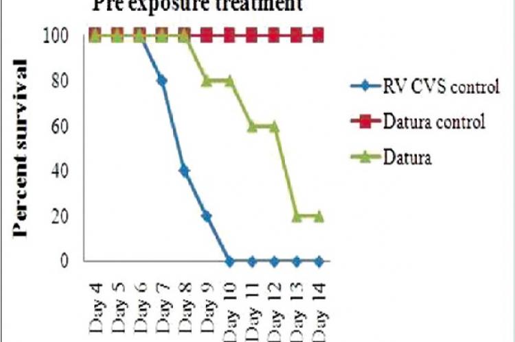 Pre‑exposure treatment of Datura (ayurvedic) extracts against a challenge dose of 10 LD50 challenged virus standard strain of fixed rabies virus. The results are expressed as standard error of the mean for each Group