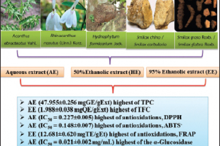 Effect Of A Thai Folk Recipe On Phytochemical Screening, Antioxidant ...