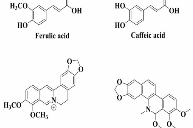 Chemical structure of identified metabolites in A. mexicana extract.