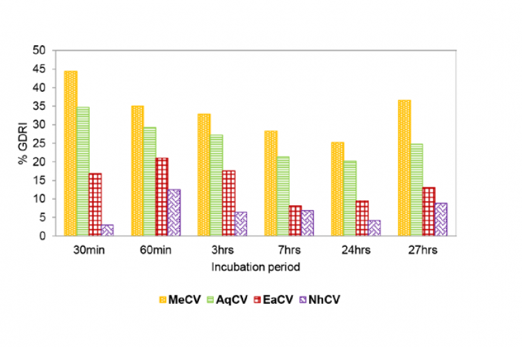 Effect of various extracts obtained from C. viscosa on the percentage of GDRI.