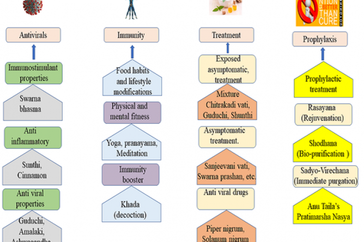 Ayurveda: The Prominence Of Herbal Medicine In Containment Of COVID-19 ...