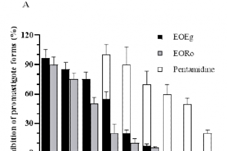 Effects of EOEg, EORo, and Pentamidine on the survival of L. amazonensis promastigotes