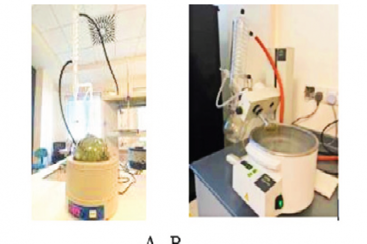 Effect Of Cholesterol And Different Solvents On Particle Size, Zeta ...