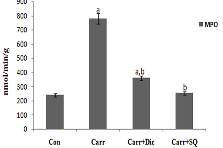 Effect of SQ on the activity of MPO in paw tissue. The values are expressed as the mean± SD of six rats in each group. a - Statistical difference with the normal control group at p< 0.05. b – Statistical difference with carr-induced rats at p< 0.05. Carr-Carr-induced arthritis, DIC-Diclofenac, SQ-Squalene