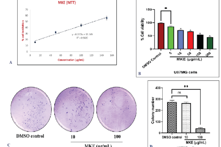 Cytotoxicity of MKE evaluated against U87MG cells using MTT; Graphical representation of percent inhibition of cells