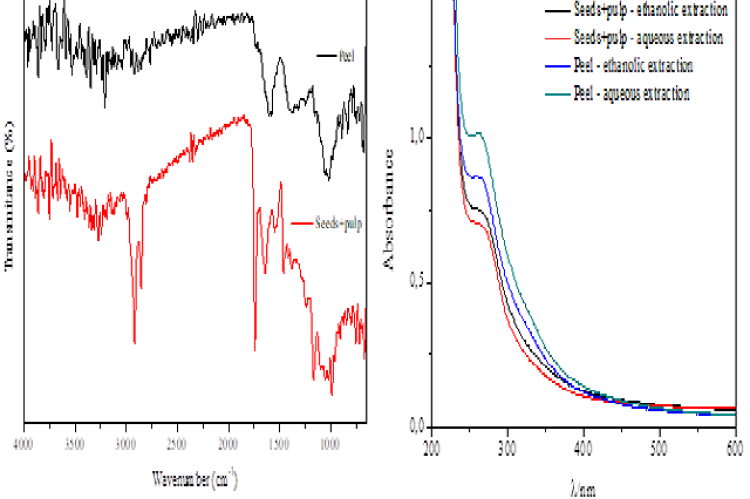 FTIR spectra of solid samples (a) and absorption spectra in the UV/vis region of the aqueous and ethanolic extracts (b) of the peel and seed+pulp of M. charantia residues.