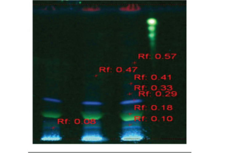 HPTLC Chromatograms of decoction prepared using 250 g of Fresh sample of Tinospora cordifolia Linn. stems {@ 254 (A) and 366 nm (B)}.