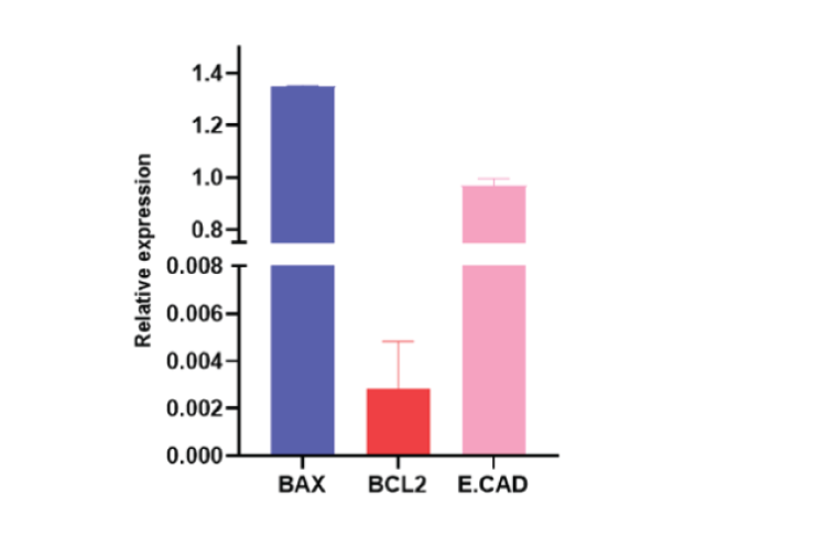 Gene expression fold change after 24 hr of Shatavarin-IV treatment to NCI-H23 cell line.Fold change in gene expression was analysed using qPCR. Gene expression of BAX,BCL2 and E.CAD was normalised to β-Actin.Statistical analyses were performed on the data.Values represent the Mean±SEM. (p ≤ 0.0001).Fold change in gene expression in comparison to untreated (U.T.) NCI-H23 cells.