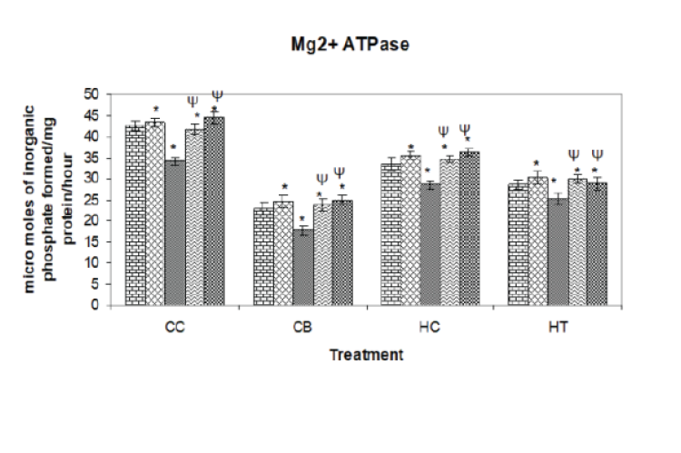 Impact of ginger on Na+/K+ ATPase, Mg2+ATPase, Ca2+ATPase activities and MDA levels in the brain regions of normal and diabetic rats. Data are expressed as means±SD (n=6). *The values are significant compared to *Normal Control (NC) and (ψ) Diabetic Control (DC). (Dunnett’s multiple comparison tests).