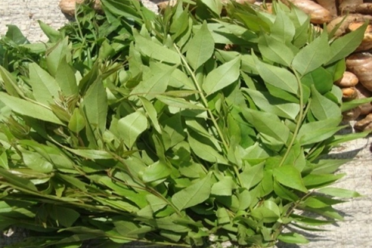 Green Leafy Vegetables of Tripura: A Case study