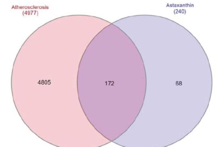 The relation of potential target genes via Venn diagram between ATX against atherosclerosis.