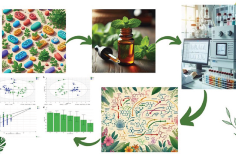 Key steps of HPLC based metabolomic fingerprint profiling for quality assessment of herbal medicines.