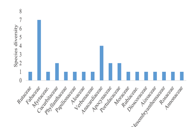 Antidiabetic plant species diversity in Cigaro resettlement area.