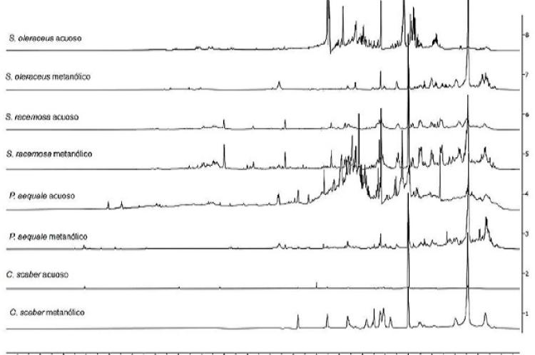 1H-NMR spectrum of methanolic and aqueous extracts of the selected species (500 MHz, DMSO d6).