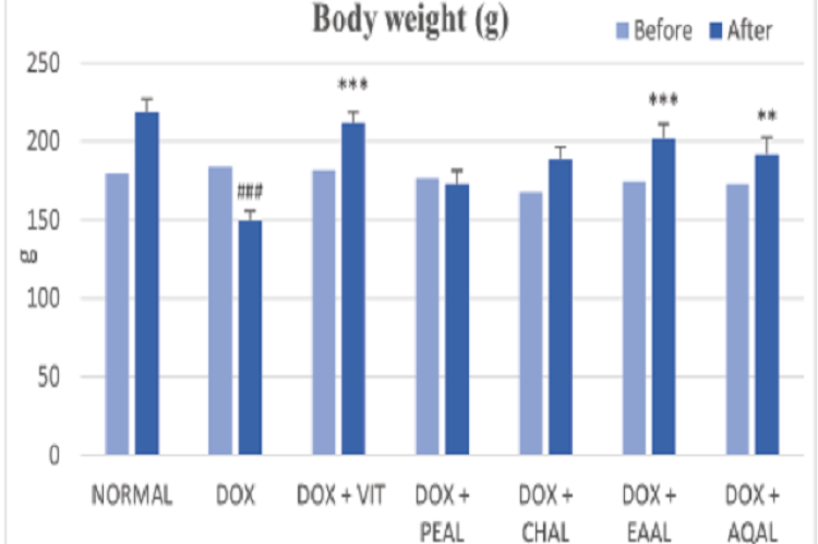 Effect of fractions of Artocarpus lakoocha R. on Body weight Values are Mean+SEM; n=6 in each group, ### p<0.001 when compared to control, *** p<0.001, ** p<0.01 when compared to DOX using one-way ANOVA (Bonferroni's Multiple Comparison Test).