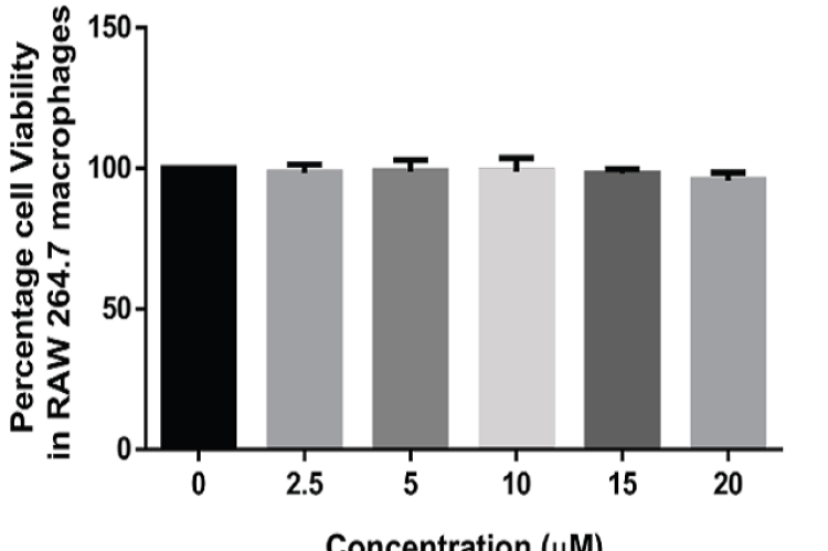 Effects of JB on the viability of Raw264.7 macrophages. An MTT assay was used to assess cell viability after 24 hr of treatment; the values represent the average of three independent experiments.