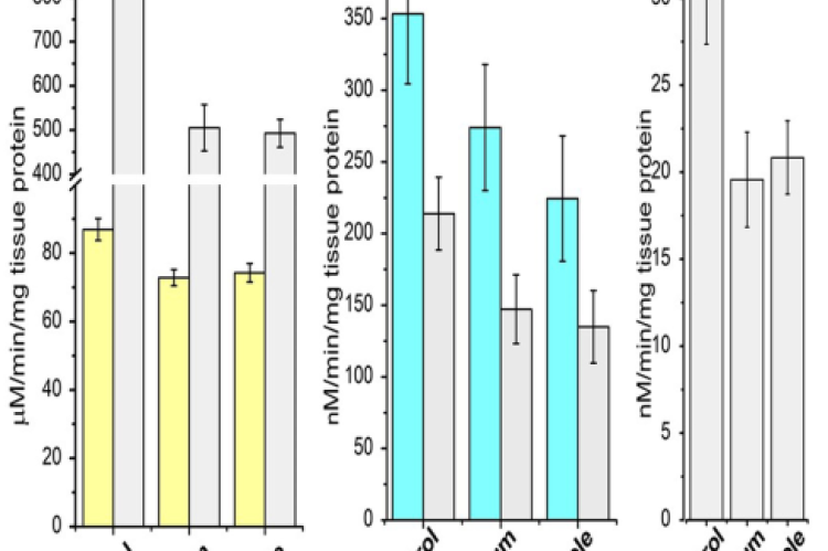 Acid Phosphatase (ACP), Alkaline Phosphatase (ALP), Lactate Dehydrogenase (LDH), Malate Dehydrogenase (MDH) and Acetylcholinesterase (AchE) enzyme, activity of control and plant extract treated parasite. All the enzyme activities showed significant difference between control and plant extract-treated parasites at p=0.05 level, except AchE enzyme.