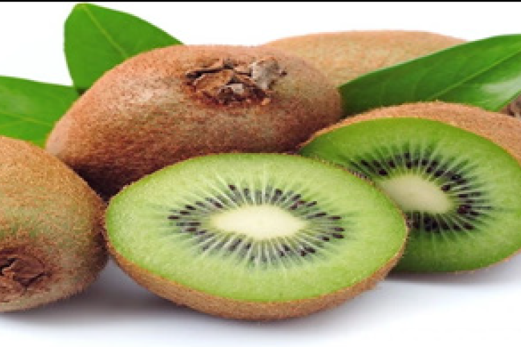 Actinidia deliciosa