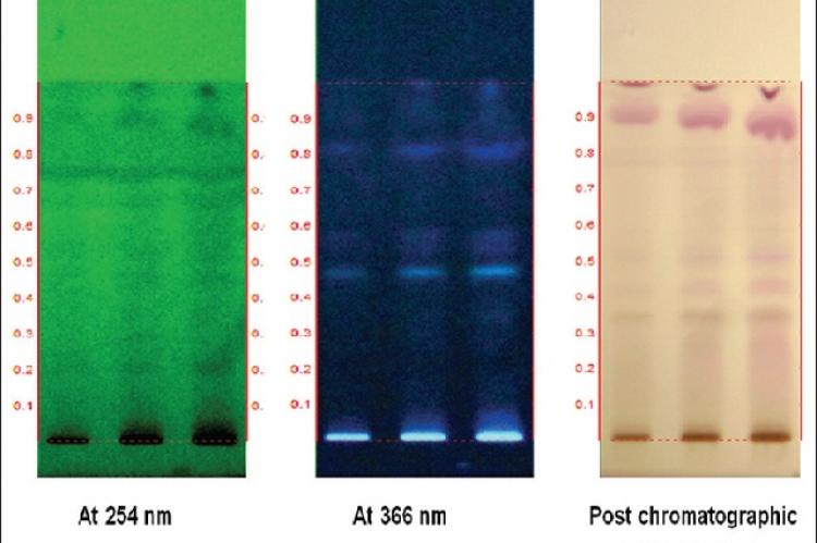 Thin layer chromatography photo documentation of alcoholic extract of Kutaja choorna. Track 1 - alcoholic extract of Kutaja choorna 4 μl; 2–8 μl; 3–12 μl. Solvent system - 9:1 (toluene:ethyl Acetate)