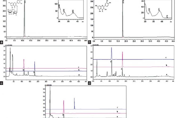 Chromatographic profile of the standard rutin; (b) chromatographic profile of the standard quercetin; (c) overlay chromatogram Goji berry extract, (d) overlay chromatogram Blueberry extract, (e) overlay chromatogram cranberry extract