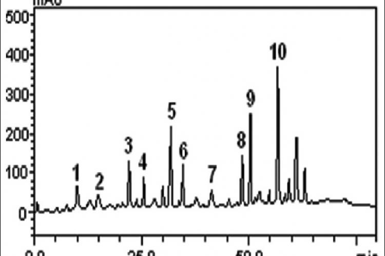Representative high‑performance liquid chromatography profile of Araticum (Annona coriacea Mart.) hydroethanolic extract. Gallic acid (peak 1), catechin (peak 2), chlorogenic acid (peak 3), caffeic acid (peak 4), coumarin (peak 5), epicatechin (peak 6), rutin (peak 7), quercitrin (peak 8), quercetin (peak 9), and luteolin (peak 10)