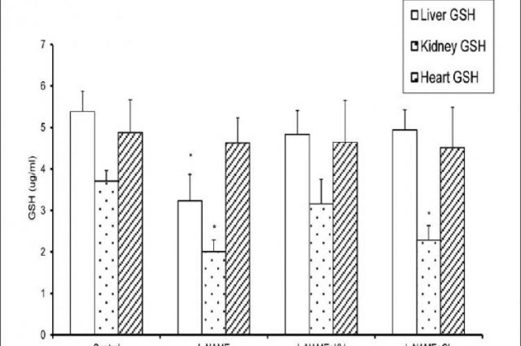 Effect of kolaviron (flavonoid of Garcinia kola) and Curcuma longa L