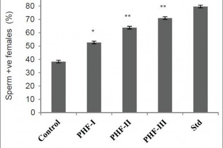 Effect of PHF on mating performance in male rats.