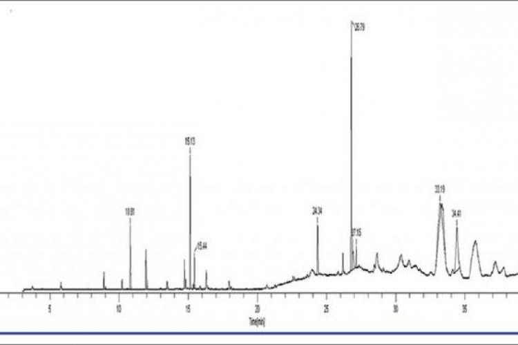 Structural elucidation of chemical constituents from Benincasa hispida seeds and Carissa congesta roots by gas chromatography: Mass spectroscopy