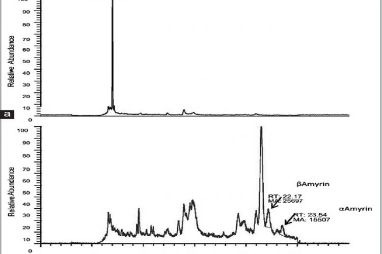 High-performance liquid chromatography chromatogram of (a) estrone (Internal standard for analysis of terpenes) (b) Costus pictus extract