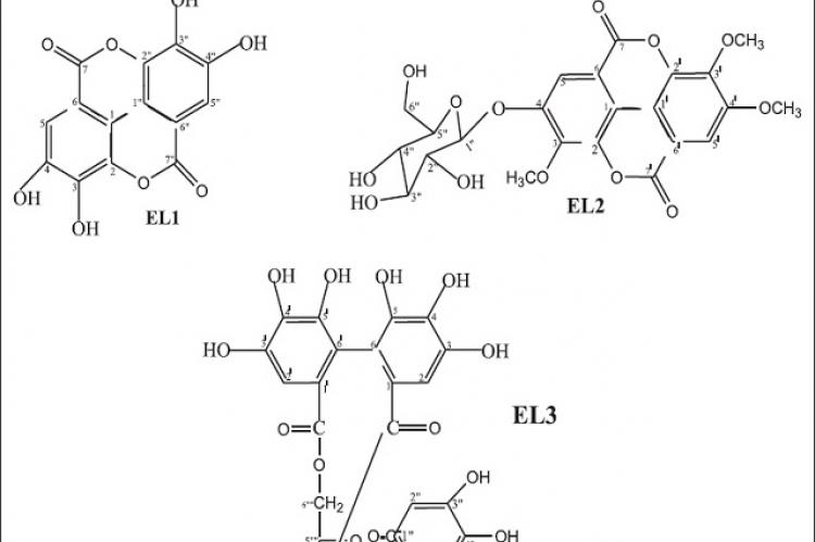 PharmacognRes-9-4-396.pdf